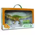 Collecta  Dinozaur Akrokantozaur W Opakowaniu 