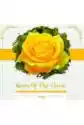 Roses Of The Classic - Piano Cd