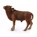 Collecta  Krowa Ankole-Watusi Calf 