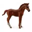 Collecta  Źrebię Thoroughbred Foal Standing Chesnut 
