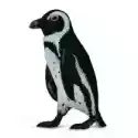 Collecta  Pingwin Przylądkowy 