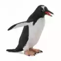  Pingwin Gento 