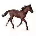Collecta  Ogier Standardbred Pacer Kasztanowy 