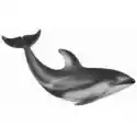 Collecta  Delfin Pacyfic 