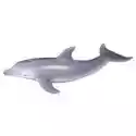  Delfin Butłonosy 