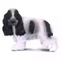  Pies Cocker Spaniel Angielski 