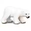  Niedźwiedź Polarny 