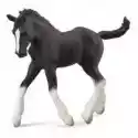  Koń Źrebię Rasy Shire - Czarny 