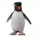  Pingwin Rockhooper 