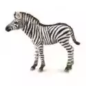 Collecta  Zebra Foal 