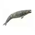 Collecta  Gray Whale 