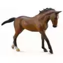  Koń Thoroughbred Marebay 