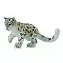 Collecta  Leopard Młody Śnieżny Bawiący Się 