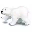  Niedźwiadek Polarny Idący 