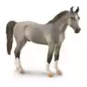  Koń Marwari Stallion Szary 