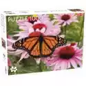 Tactic  Puzzle 1000 El. Monarch Butterfly Tactic