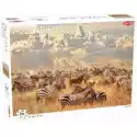  Puzzle 500 El. Animals. Zebra Herd Tactic