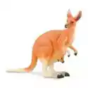  Kangur Czerwony L 