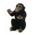 Collecta  Szympans Młody Przytulający Się 