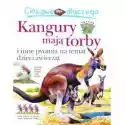  Ciekawe Dlaczego Kangury Mają Torby 