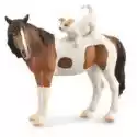  Koń Mare & Terrier 