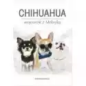  Chihuahua Wojownik Z Meksyku 