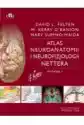 Atlas Neuroanatomii I Neurofizjologii Nettera