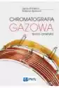 Chromatografia Gazowa. Teoria I Praktyka