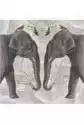 Karnet Kwadrat Z Kopertą Indian Elephant