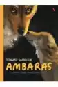 Ambaras