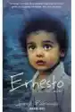 Ernesto. Brat Delfinów