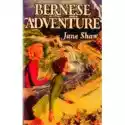  Bernese Adventure 