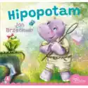 Skrzat  Hipopotam 
