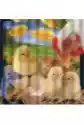 Pocztówka 3D Wielkanocne Kurczaczki