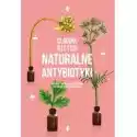  Naturalne Antybiotyki 