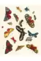 Museums Galleries Karnet Z Kopertą Butterfly Design Decorati