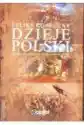 Dzieje Polski Od Początku Piastów Do Iii Rozbioru Polski