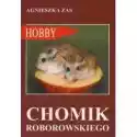  Chomik Roborowskiego 