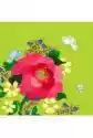Karnet Swarovski Kwadrat Cl0605 Kwiaty Limonka