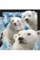 Worth Keeping Magnes 3D Niedźwiedzie Polarne