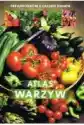 Atlas Warzyw