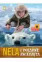 Wydawnictwo Slowne Nela I Polarne Zwierzęta