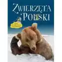  Zwierzęta Polski. Mała Encyklopedia Ilustrowana 