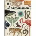  Animalium. Muzeum Zwierząt 