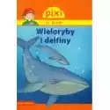  Pixi Ja Wiem! Wieloryby I Delfiny 