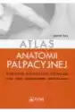 Atlas Anatomii Palpacyjnej. Badanie Manualne Powłok