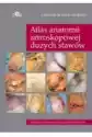 Atlas Anatomii Artroskopowej Dużych Stawów