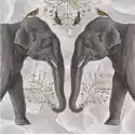  Karnet Kwadrat Z Kopertą Indian Elephant 