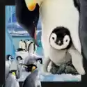  Pocztówka 3D Pingwin 