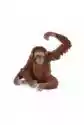 Schleich Orangutan Samica